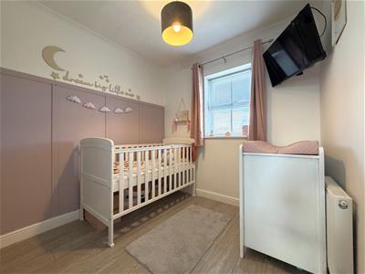 Picture 15